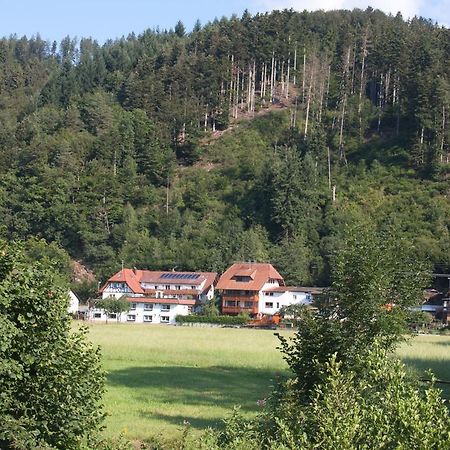 Ferienwohnung Am Rain Winden im Elztal Luaran gambar