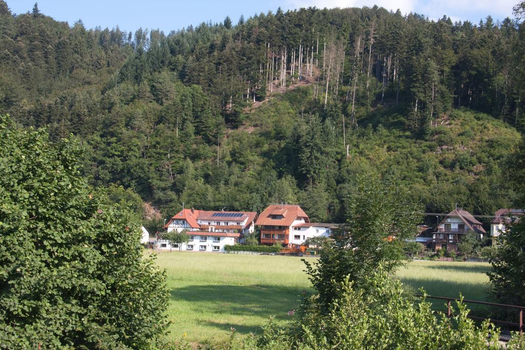Ferienwohnung Am Rain Winden im Elztal Luaran gambar