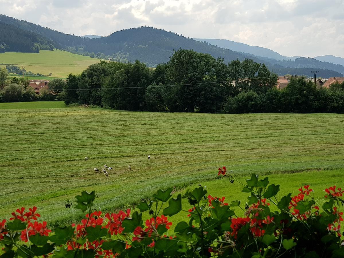 Ferienwohnung Am Rain Winden im Elztal Luaran gambar