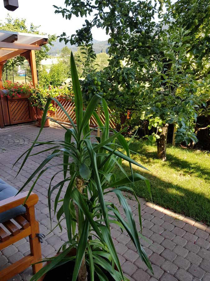 Ferienwohnung Am Rain Winden im Elztal Luaran gambar
